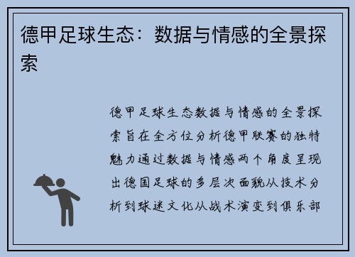 德甲足球生态：数据与情感的全景探索